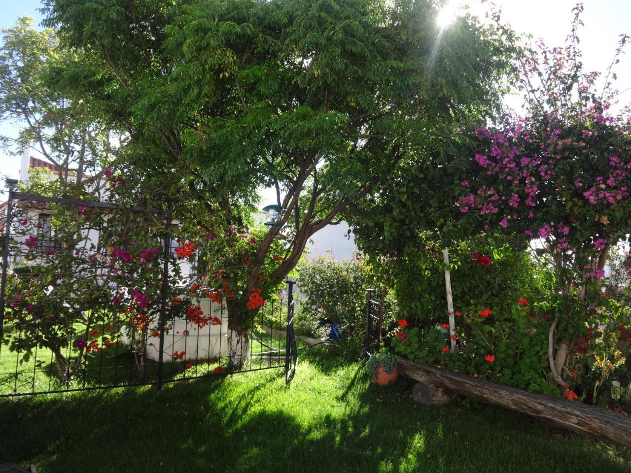 سوكر El Jardin De Su Merced B&B المظهر الخارجي الصورة